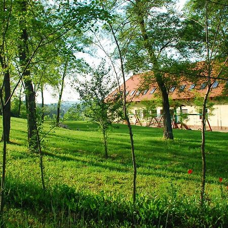 Bekesseg Szigete, Klasszik Apartman Appartement Sur Buitenkant foto