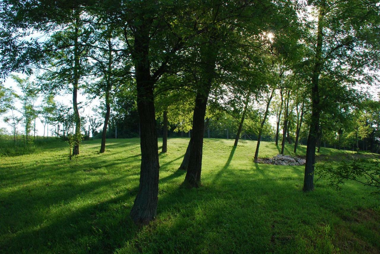 Bekesseg Szigete, Klasszik Apartman Appartement Sur Buitenkant foto